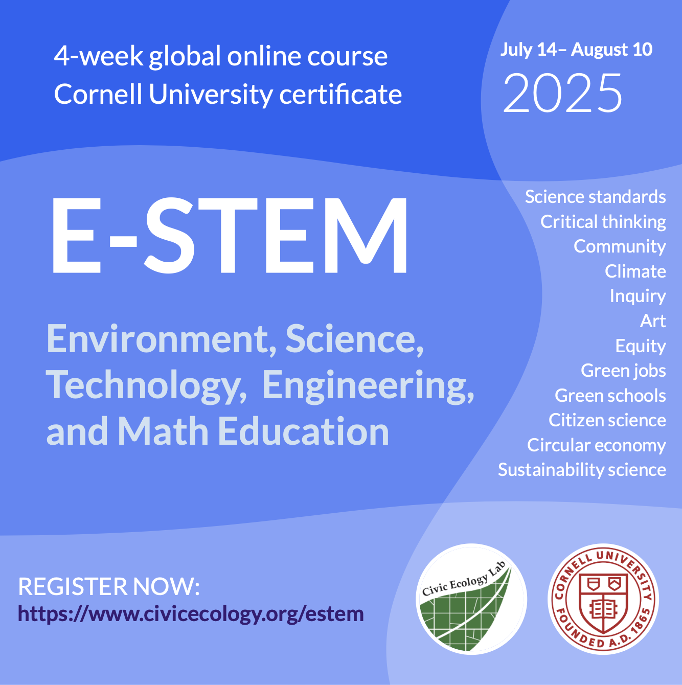 Details flier for 4-week global online course