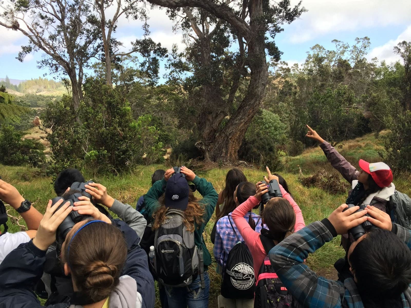 group birdwatching