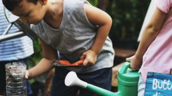 Small boy working in a plant nursery/vegetable garden.