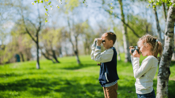 Children bird watching