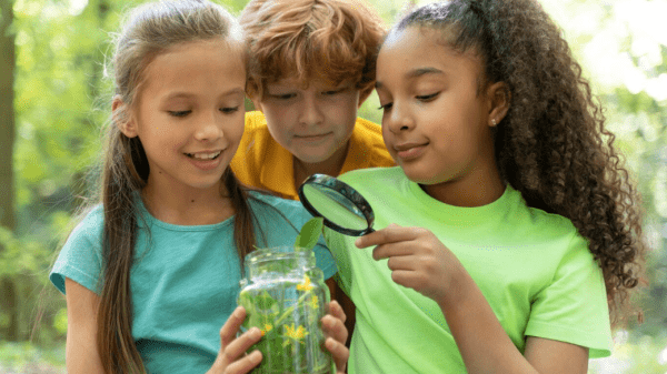 Children examine pond life through magnifying glass