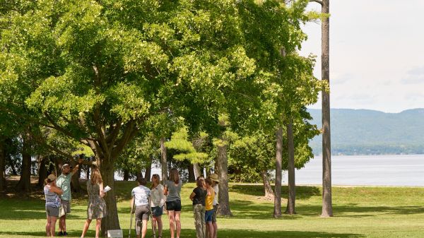 A group of people standing under a tree, with a lake and mountains in the background