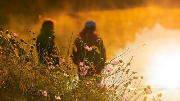 Photo credit: chulmin1700 / Pixabay Photo of flowers in warm sunlight, and in the background, two blurry persons