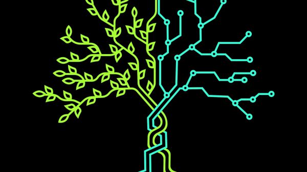 Illustrated tree made with circuits to demonstrate a connection between nature and technology.