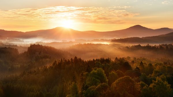 Beautiful autumn morning on the view point above the deep forest valley in national park Bohemian Switzerland.