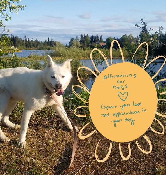 A smiling, white husky stands on the grassy ridge overlooking a river. A yellow flower-shaped sign to the right of the dog reads, "Affirmations for Dogs. Express your love and appreciation for your dog."
