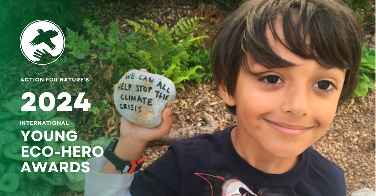 Photo of a child holding a rock that's marked with text, "We can all help stop the climate crisis." To the left of the photo is a green gradient overlay with white text that reads, "Action for Nature's 2024 International Young Eco-Hero Awards."