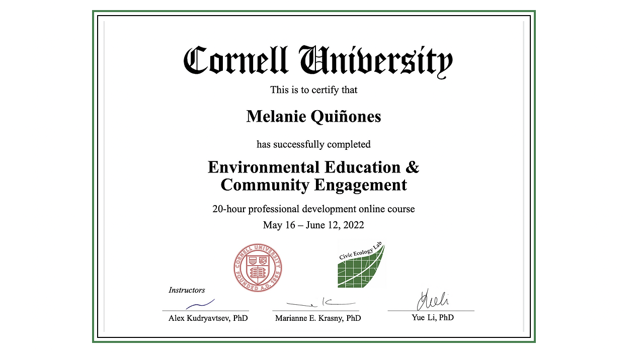 Certificate example