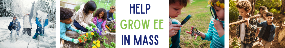 Massachusetts EE Affiliate Giving Tuesday graphic