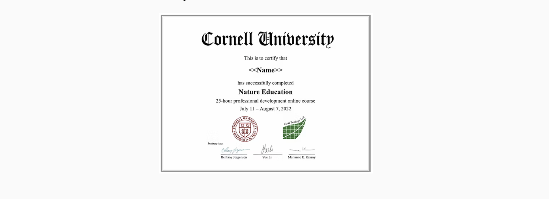 certificate example