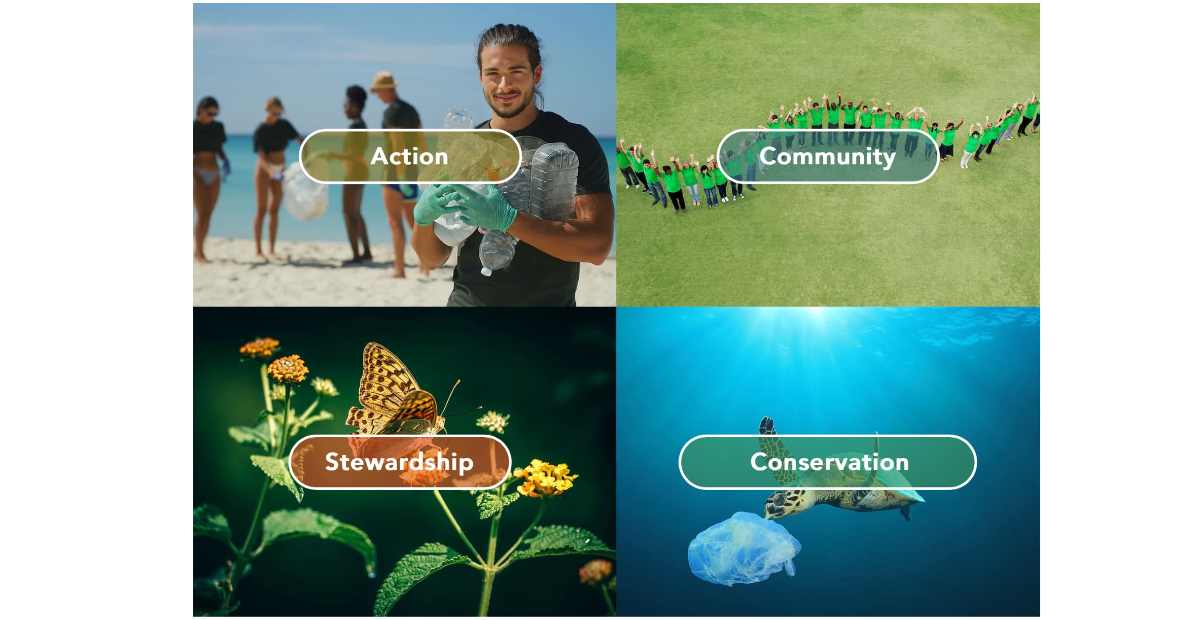 2 by 2 grid of photos. From top left clockwise: a photo of a bearded person carrying a bunch of plastic bottles at a beach clean up, a group of people standing with their arms up and in a swirl arc formation, a sea turtle grabbing a plastic bag underwater, and a brown spotted butterfly on a bunch of tiny yellow flowers. There is also text on top of each photo, respectively: Action, Community, Conservation, Stewardship.