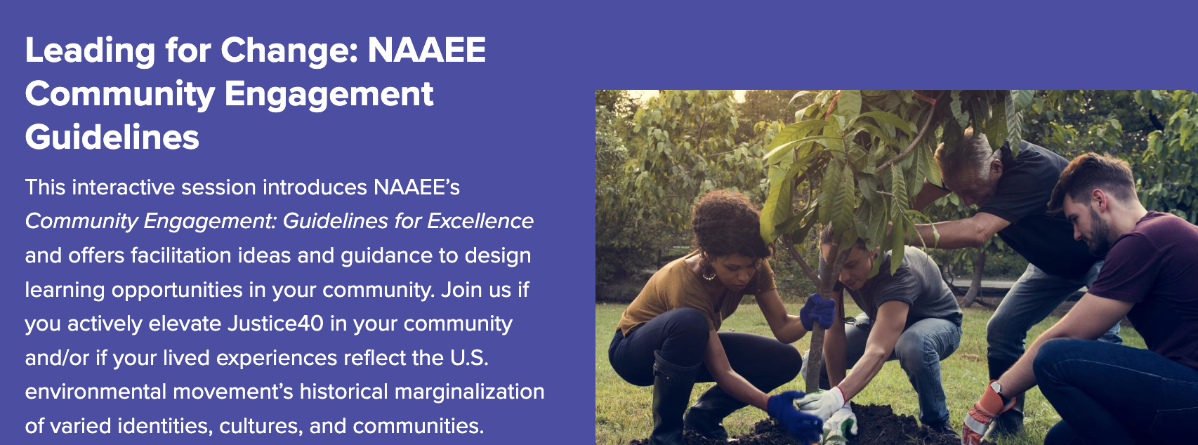 Image of workshop title and summary text from NAAEE conference website