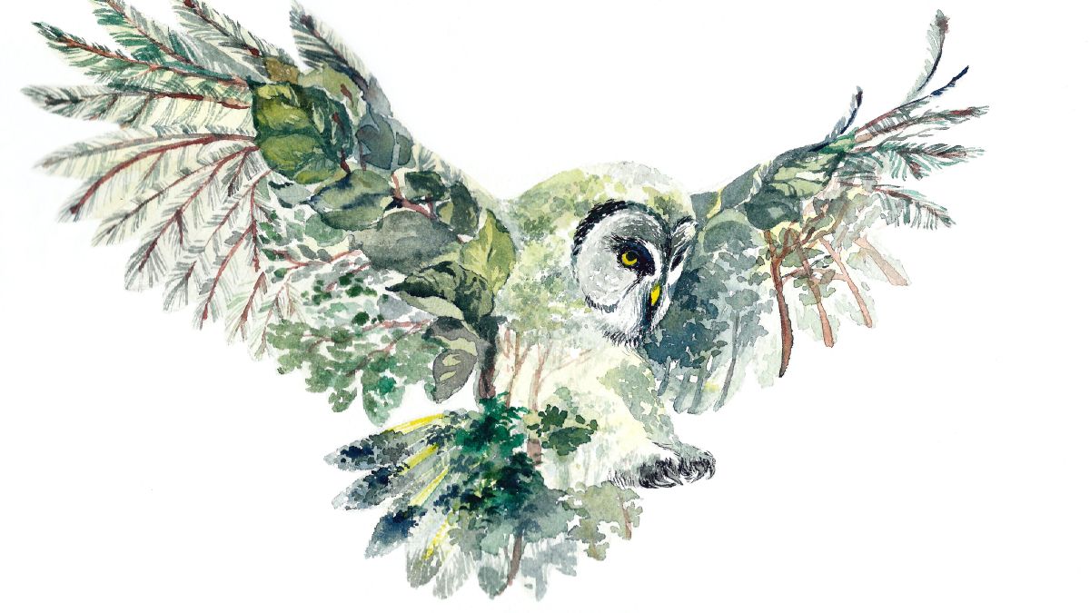 Watercolor illustration of a dark green owl with wings alight