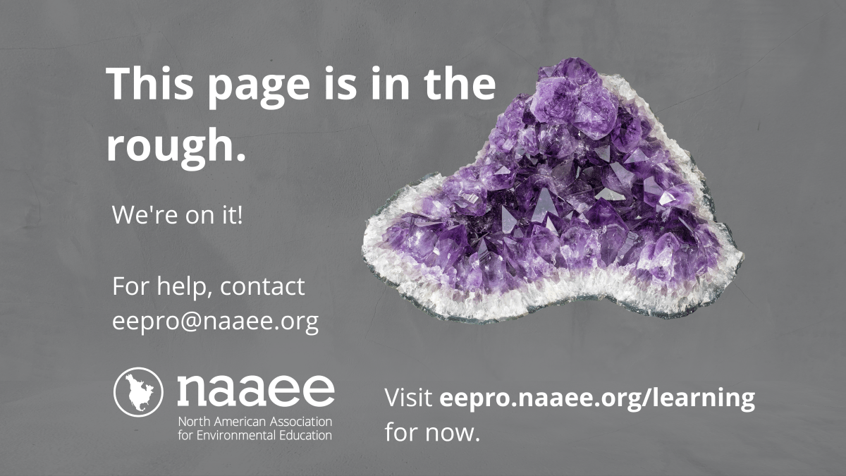 A rock with gemstones against a grey background with white text that reads, "This page is in the rough. We're on it! For help, contact eepro@naaee.org. Visit eepro.naaee.org/learning for now."