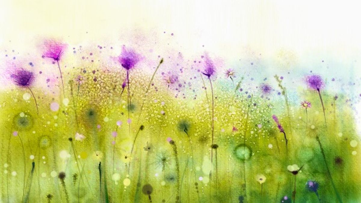 Watercolor picture of purple flowers in green grass