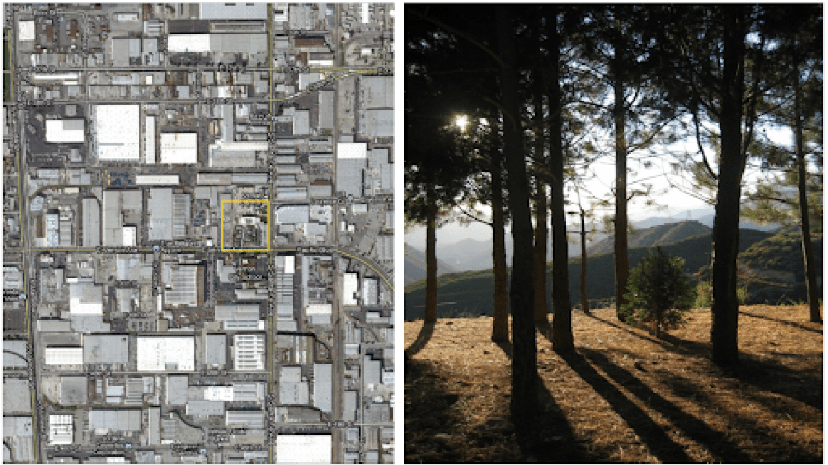 Aerial photo of a city side-by-side with another photo of a forest