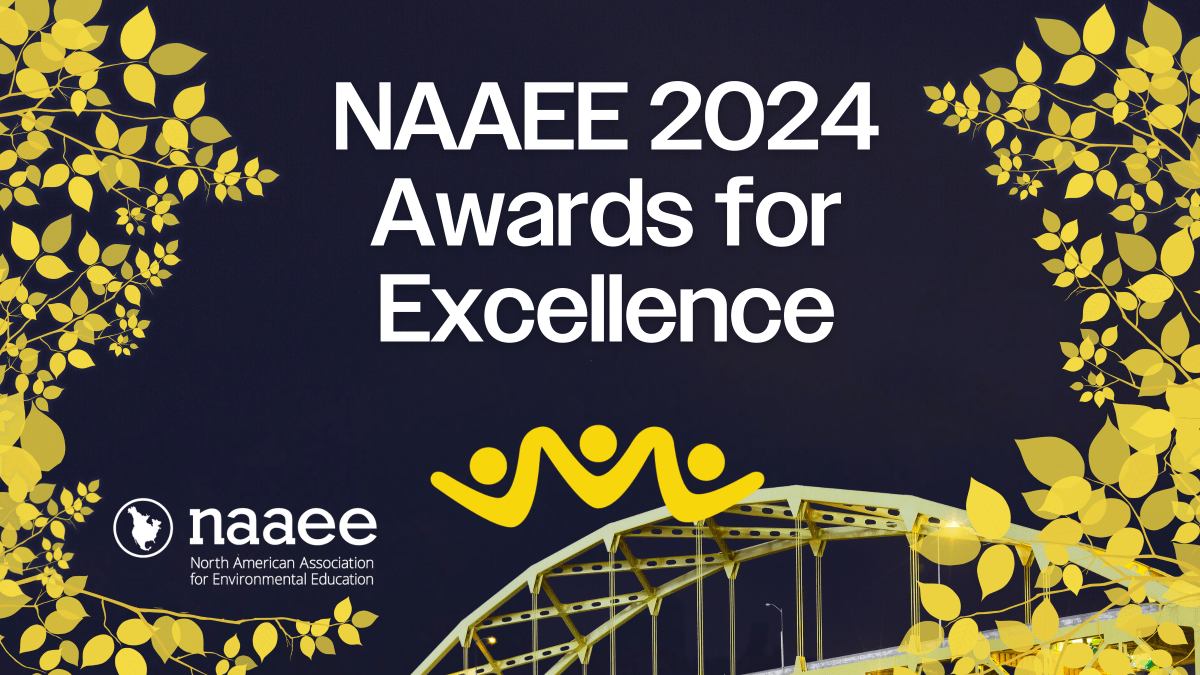 Dark blue background with yellow bridge and framed by golden leaves with text in the center that says, "NAAEE 2024 Awards for Excellence" with the NAAEE logo on the bottom left