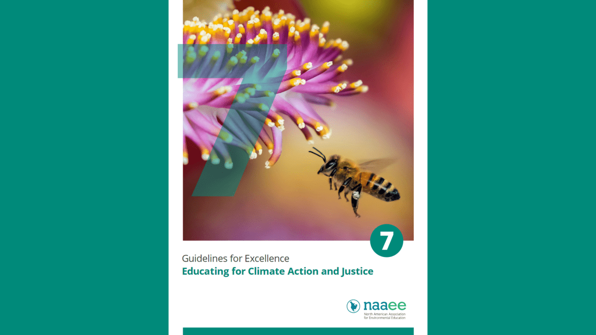 Green background with book cover showing a photo of a bee on a flower with the number 7 as an overlay, and at the bottom, there is the title, "Educating for Climate Action and Justice: Guidelines for Excellence"