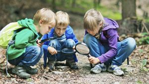 kids using magnifying glass to study leaves