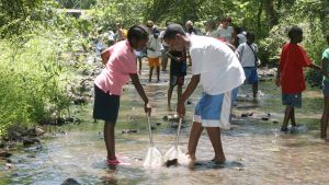 Inner-city children exploring a stream