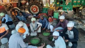 Indian farmers protest and sell goods