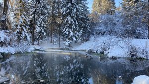Snowy winter scene of pond with spruce trees surrounding the pond 