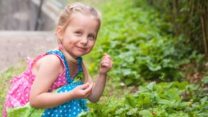 Little girl with pigtails in a bright dress sitting near wild strawberry