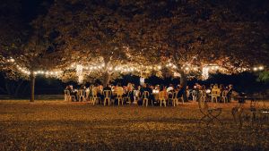 Nighttime outdoor wedding reception with lights