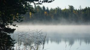 Mist rises from a lake, ringed by an evergreen forest