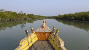 A yellow and orange wooden boat in the middle of a river lined by mangroves, taken from the boat passenger's point of view