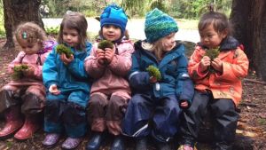 At Fiddleheads Forest School
