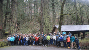 A group of people stand in a forest