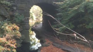 A creek flows through a stone bridge