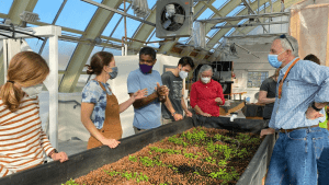 A group of people gathered around an aquaponics table with growing plants