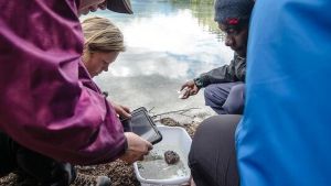 A group of students and teacher sit by a lake and investigate a water sample in a tub