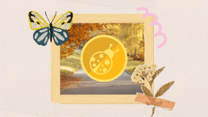 A collage of a paper butterfly, flowers, popsicle sticks arranged in a frame, and a photo of a forest in autumn with the Early Childhood EE logo in front