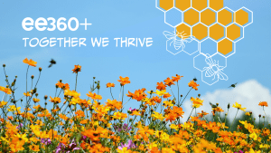 A graphic with blue sky, orange and yellow flowers announcing the ee360+ Partners blog
