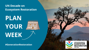 Banner for UN Decade on Ecosystem Restoration Weekly Events.