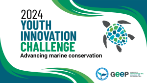 Graphic with green and blue waves on the upper right and lower left corners. The text, "2024 Youth Innovation Challenge: Advancing Marine Conservation" is aligned left. To the right is an illustration of a sea turtle. The Ocean Conservation Administration, Ocean Affairs Council and GEEP logos are on the lower right corner.