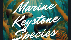 2025 Science Without Borders Challenge Theme Marine Keystone Species