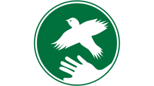 Green logo of a bird flying from a hand