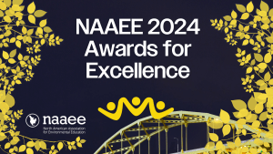 Graphic with a photo of a night sky with yellow bridge at the bottom, framed by golden leaves graphics, with text that says, "Awards for Excellence." NAAEE logo on the bottom left.