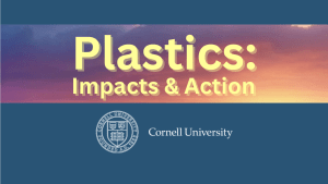 Blue background graphic with a photo of a cloudy sky lit by a sunset. On top of the photo is a bold yellow text overlay that says, "Plastics: Impacts and Action." The white Cornell Univeristy logo is below.