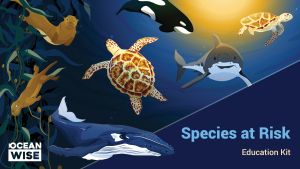 Species at Risk Education main cover 