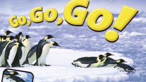 Emperor penguins diving off sea ice into the polar ocean