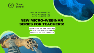 Poster for Ocean School's webinars with date and time