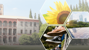 mosaic image of university building in background, with overlays of sunflower, dangling feet in shoes, city skyline and tree line