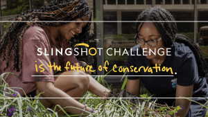 Photograph of two dark skinned young people with braids weeding in a garden, surrounded by green plants and purple flowers. 