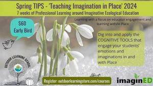Photo of a flower blooming from snow, with text at the top that says "Spring TIPS - Teaching Imagination in Place"