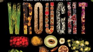 Black background with cut out photos of vegetables, fungus, and leaves. The title in the middle says, "A Biofilm Productions Film: Wrought."